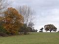 2011-1103-1220_Morden_Park_17C